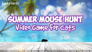 Download lagu Summer Mouse Hunt Video Game For Cats Only Cat Games On Screen For Cats To Play Summer Mouse Hunt Video Game For Cats Only Cat Games On Screen For Cats To Play