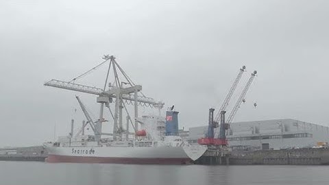 Cargo Ship Being Unloaded Stock Video