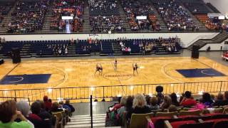 Vikettes State 2015
