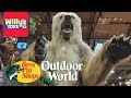 Kid Exploring Bass Pro Shops Outdoor World and Driving a Ford F-150 SVT Raptor - Willy&#39;s Toys