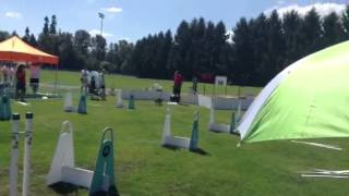 Power's 1st Flyball title