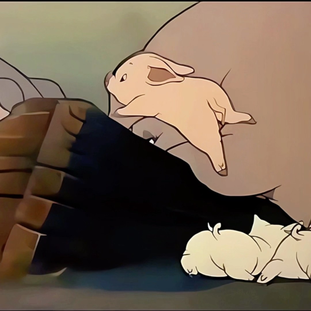 O COITADINHO DO PORQUINHO SÓ QUERIA UM POUCO DE COMIDA #shorts