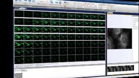 MetaMorph NX Interface Overview