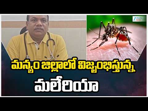 Malaria Fever Affecting All Over Parvathipuram People | మన్యం జిల్లాలో విజృంభిస్తున్న మలేరియా | ZEE - ZEE24TELUGUNEWS