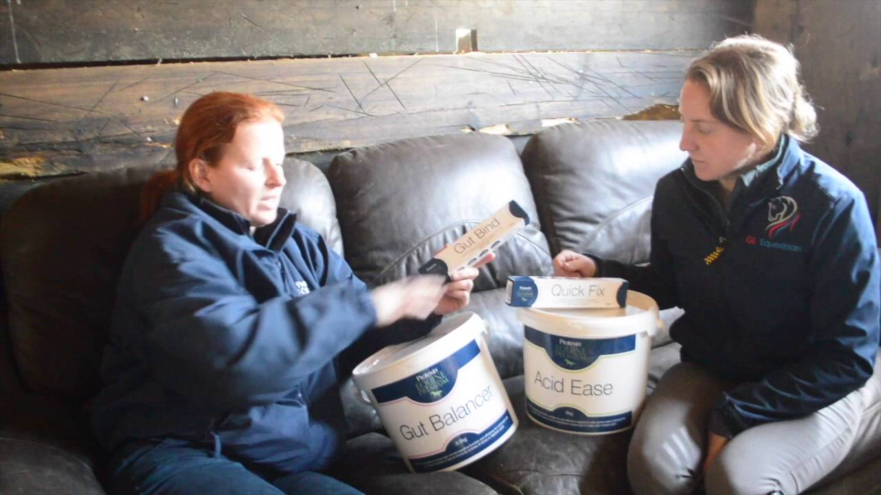 Introduing Protexin Equine Premium | GG Eventing |