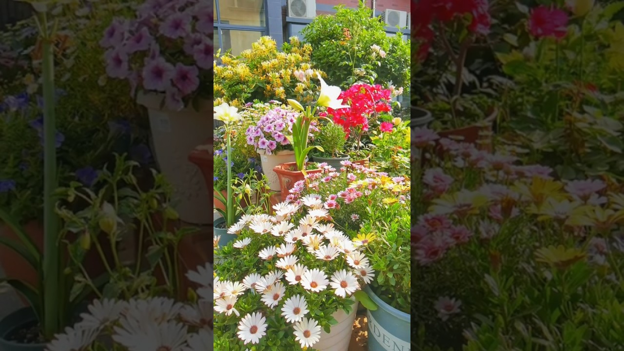 Garden Decor Ideas to Transform Your Outdoor Space 🪴🌸