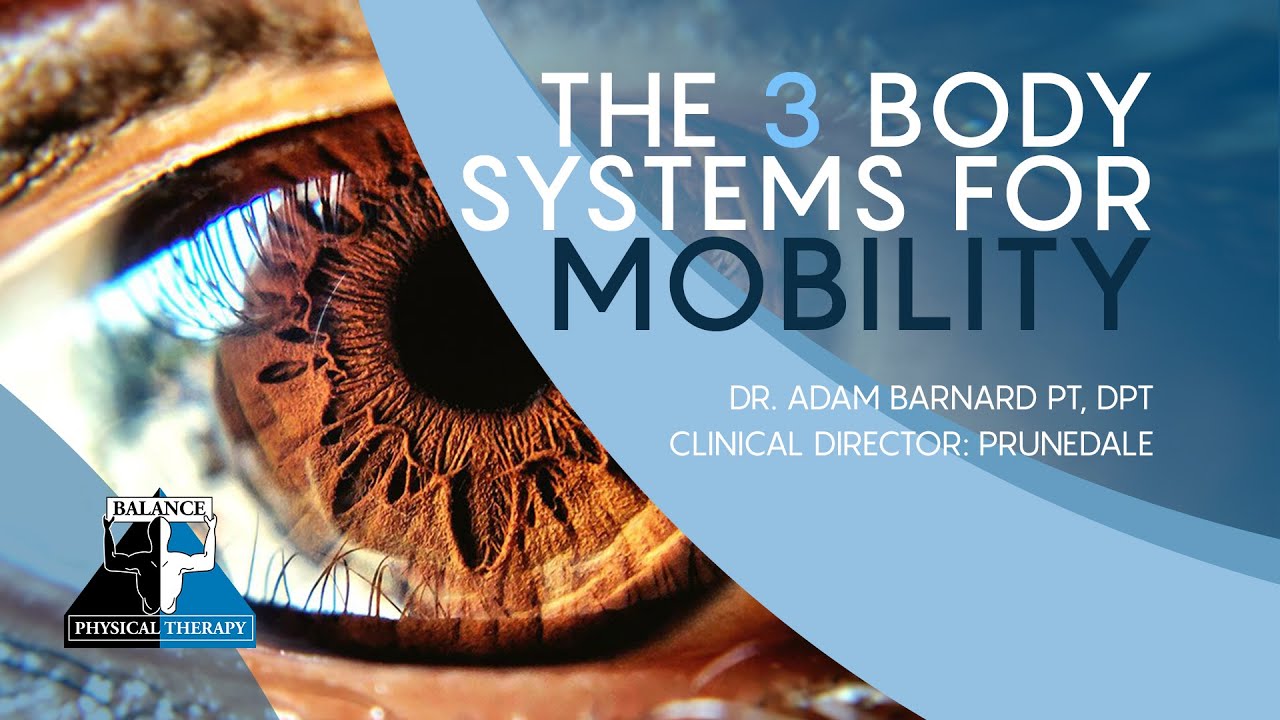 THE 3 MAIN BODY SYSTEMS FOR MOBILITY | Balance Physical Therapy
