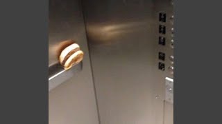 caveman elevator music