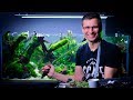 PLANTED TANK MAINTENANCE - SHAPING JOSH SIM'S AMAZING AQUASCAPE