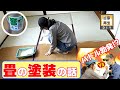 【畳専用塗料】で塗装しました