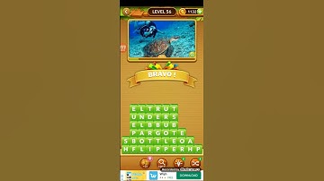 Word Heaps Pic Puzzle Guess words in picture level 56