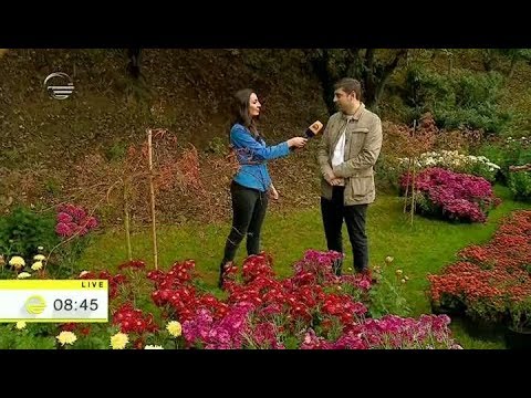 ყვავილების გამოფენა ბოტანიკურ ბაღში