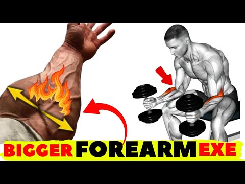 Best Forearms Workout at Home | Intense 8 Exercises for Bigger Forearms ...