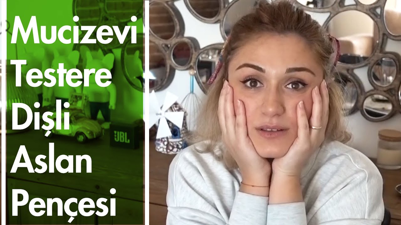 Testere Disli Aslan Pencesi Bitkisi Nedir Ne Ise Yarar Denemetahtasi Youtube