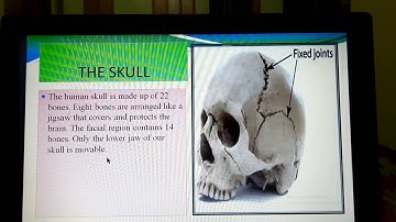 Class 5 science chapter 7 video 1