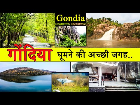 गोंदिया : Best Place To Visit Gondia | Tourism | Maharashtra
