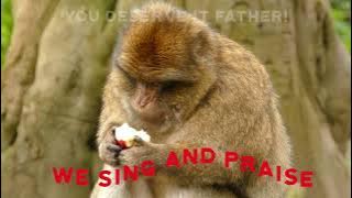 BritYah - We Sing and Praise, O Elohim, Tehillim (Psalms) 57