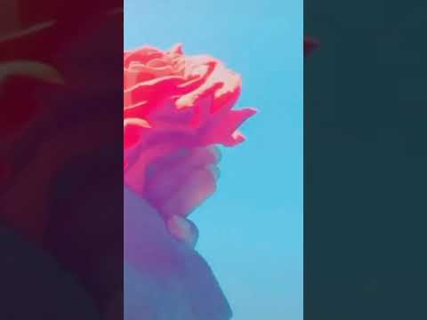 انت طيري صوتي
