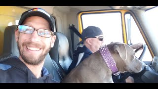 Vlog 174 | Road Trip from Denver to Tampa
