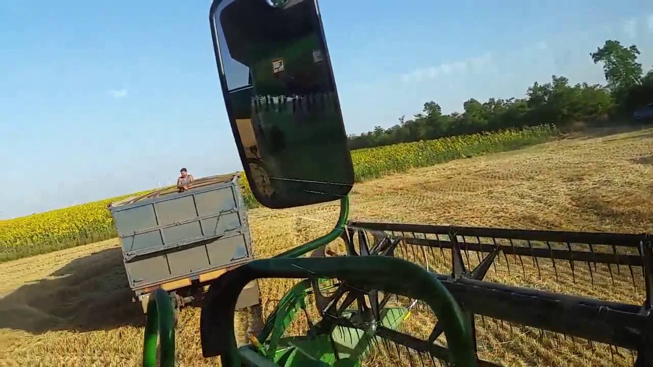 Dmytro harvesting winter wheat on Ukrainian grain farm 