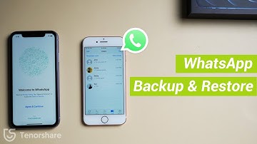 (Full Guide) WhatsApp backup & restore with iCareFone for WhatsApp Transfer