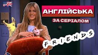 РЕЙЧЕЛ КУПИЛА КОТА - АНГЛІЙСЬКА за СЕРІАЛОМ ДРУЗІ [Friends]