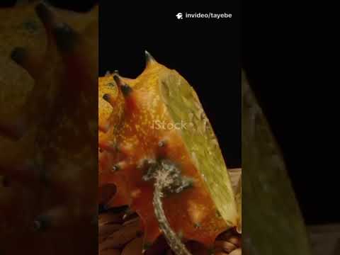 خواص شگفت انگیز کیوانا خربزه شاخ دار و منبع آبرسانی طبیعی