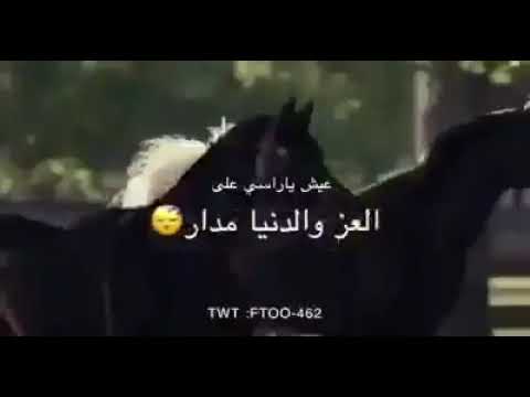 علم اللي يحسب انه من الروس الكبار حالة واتس
