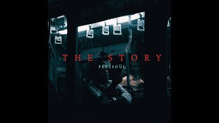 THE STORY VISUALIZER