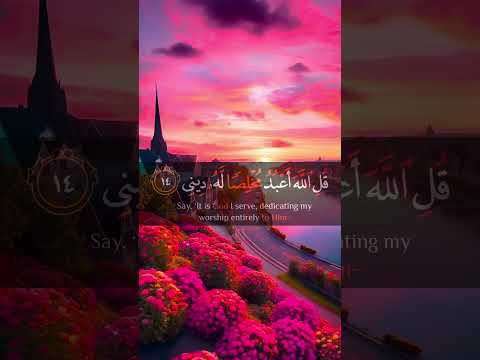 قل اني اخاف ان عصيت ربي Shorts 