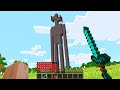 Fighting SIRENHEAD in Minecraft! (Scary)