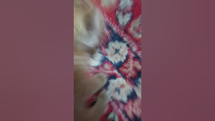 сними лесли у тебя есть кошка! #cat