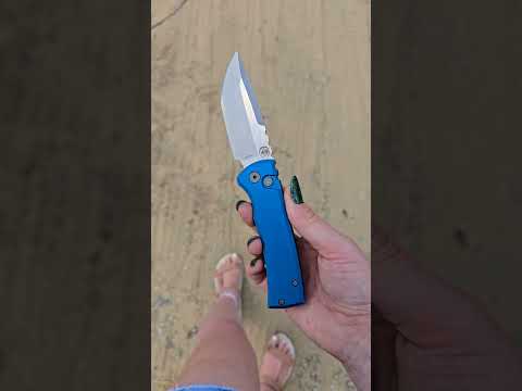 ProTech/Chaves Collab!