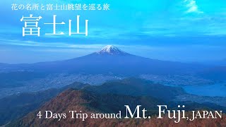 【富士山】花の名所と富士山眺望を巡る旅 | Trip around Mt. Fuji / Fuji Five Lakes (Yamanashi, JAPAN) | 4K