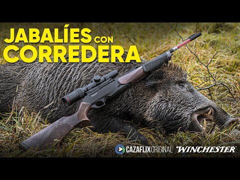 CAZA DE GRANDES JABALÍES CON RIFLE DE CORREDERA 🐗 | Test del Winchester SXR2 Pump