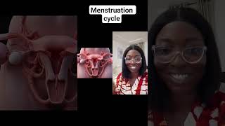 menstruation in 3D animation #anatomy #menstration #humanbody