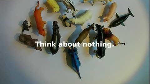 Exercise 5 of 6 - Crowd Dynamics Instruction Video