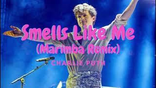 Charlie Puth - Smells Like Me Marimba iPhone Ringtone Mp3