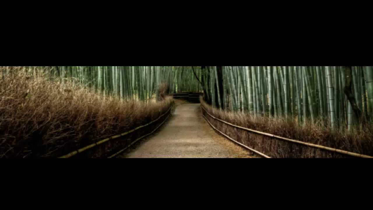 F7 RC (Render Problems)