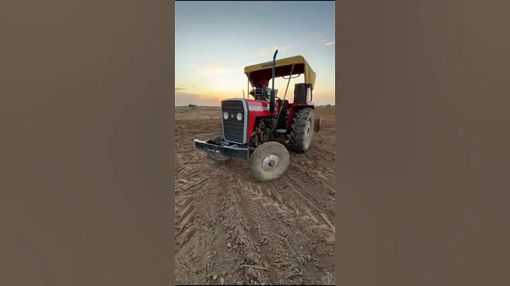 Massey ferguson 244 NEW MODEL.  #punjabi ##farming #agriculture #farm #farmlife #farmer #trac