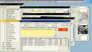 Sap Business One Sales Force Automation