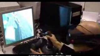 (2006) The making of "Frecce Tricolori" Free Flight Simulator screenshot 3