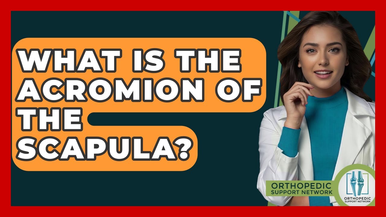 What Is The Acromion Of The Scapula? - Orthopedic Support Network