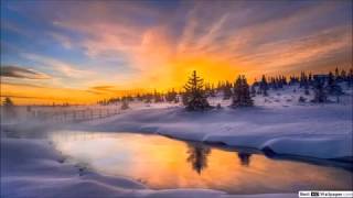 سورة يس / قراءة قديمة ورائعة للشيخ ابو بكر الشاطري ( عام 1412 )