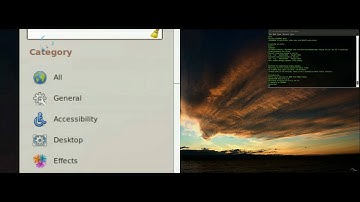 Compiz Enhanzed Zoom in Linux (Ubuntu)