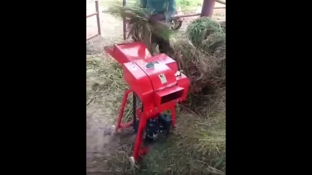 Chaff / Animal Feed Machine