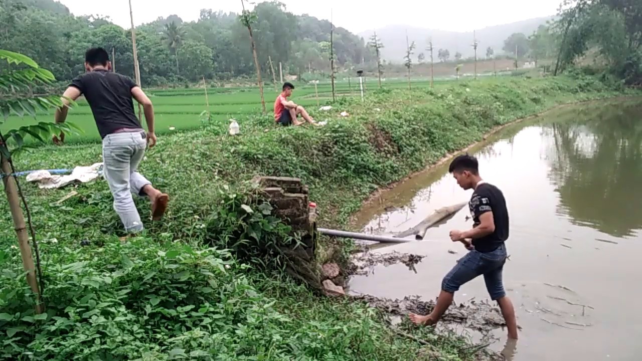 Matthew R. Johnson vlog revewi cảnh đẹp tại vùng đồng quê