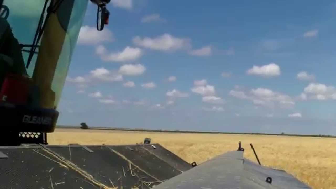 Nebraska wheat harvest 2014