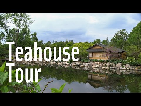 Video: Four Senses And A Teahouse - Network Matador
