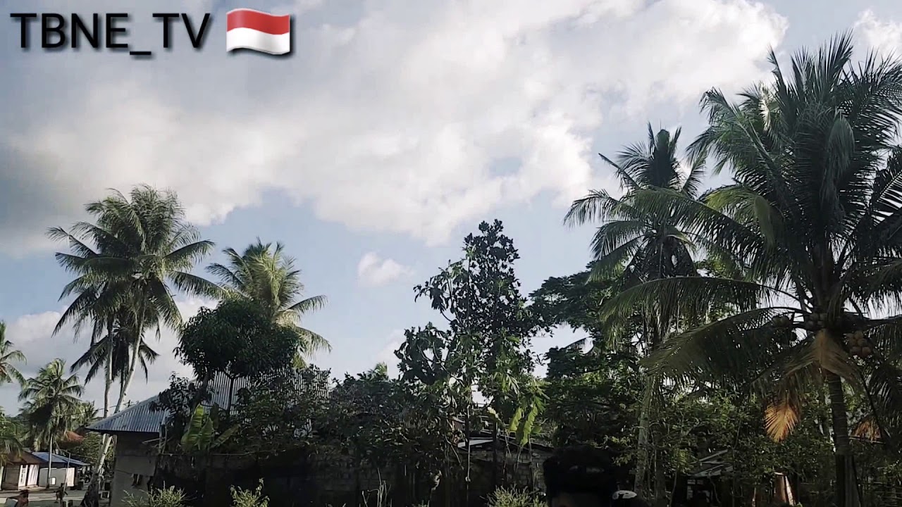 TBNE lakukan pembelajaran Gratis di Desa Sethean Kabupaten MalRa - Sabtu 10 November 2018 - YouTube